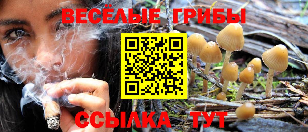Псилоцибиновые грибы ЛСД  Вход с VPN  Астрахань 